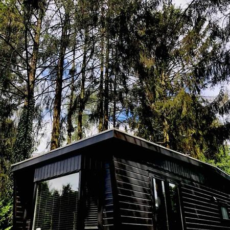 Heerlijk Chalet Midden In De Natuur Putten Exteriör bild